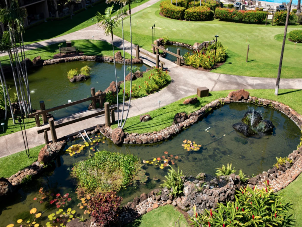Kaanapali  Maui Condo 1096013
